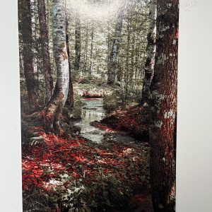 20x30cm FineArt Print Stream